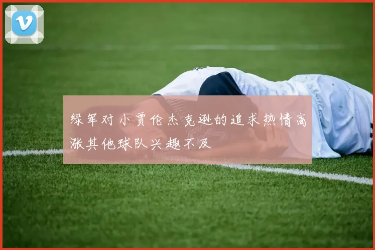 绿军对小贾伦杰克逊的追求热情高涨其他球队兴趣不及